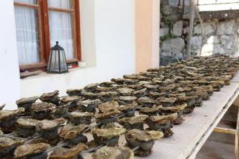 Apartment Brijesta 10223c