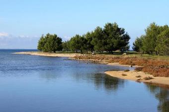 Secluded Apartments Zaton (zadar) - 11130