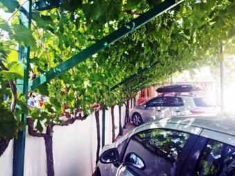 Apartments Eugen Pedisi?