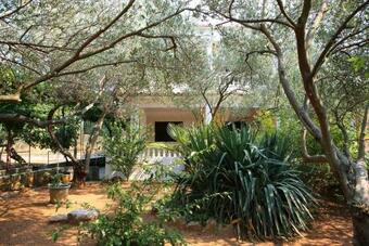 Apartment Vrgada 4200b