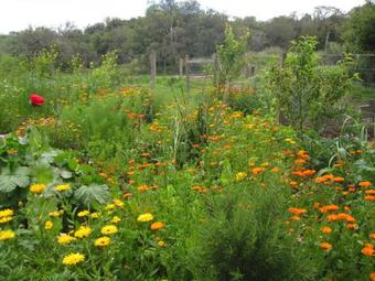 Agroturismo Tao Sierras De Aigua