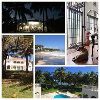 Baoba Breeze Bed & Breakfast- Beachfront Paradise