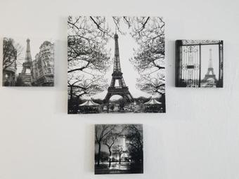 Black & White Comfort House