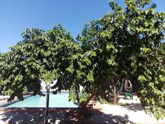 Belle Vue Bed & Breakfast