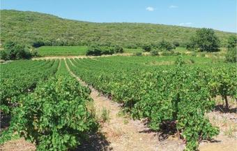 Six-bedroom Holiday Home In St-jean-de-maruejols