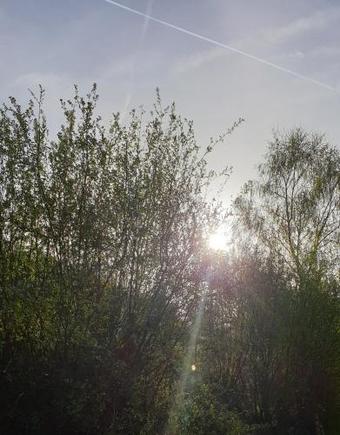 Hostal Ty Flour Di Lys