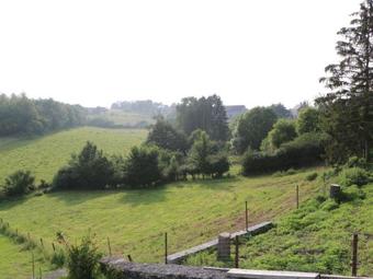 Vintage Holiday Home In Couvin Near River