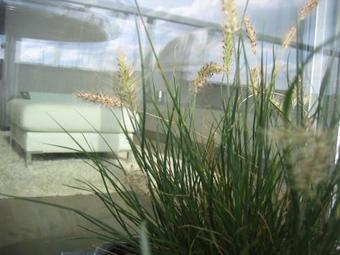 Apartamento Koksijde L'abbaye