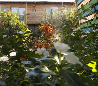 Bed & Breakfast Buganvilla Guest House