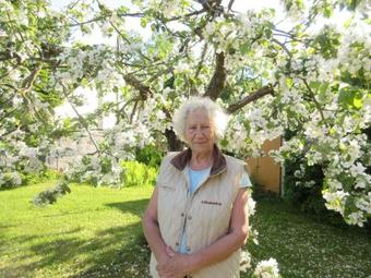 Agroturismo K�spri Farmstay