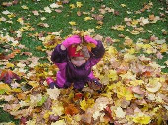 Pohlametsa Holiday House