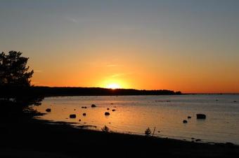 Lodge Metskonna Forest House