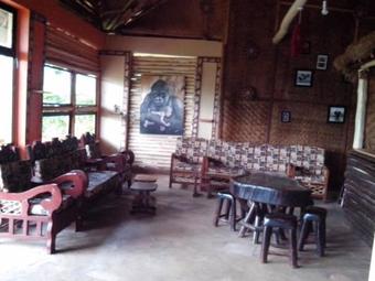 Bwindi Forest Lodge