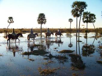 Hostal Ecoposada Del Estero