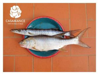 Agroturismo Centre Touristique Et Culturel Casamance