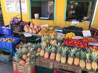 Apartamento La Plage Dor�e