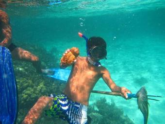 Lodge Caba�as Narasgandup (naranjo Chico)