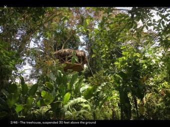 Jungle Treehouse By The Sea