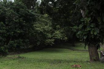 Hostal Hostel Guayacan