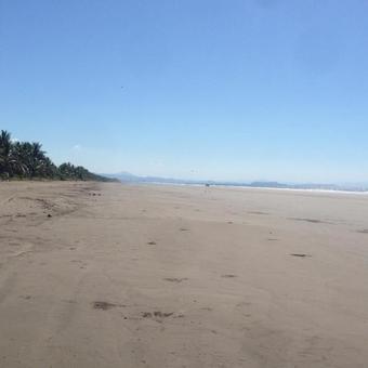 Hotel Show Pony Beach Resort And Suites