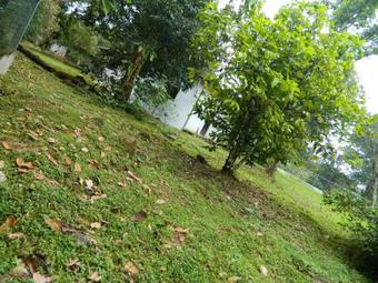 Apartamento Su Casa Dolega (#1)