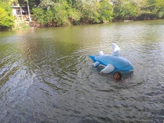 Hotel Alojamiento Rio Sabalo, Chocano