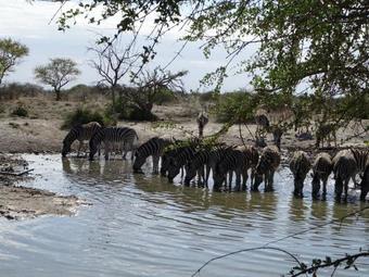 Uukwaluudhi Safari Lodge