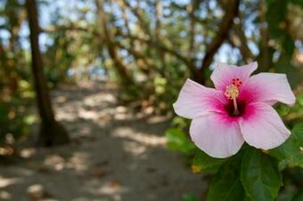 Hotel Gitana Del Mar Boutique Beach Resort