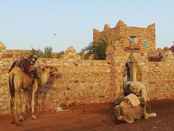 Hotel Maison D'hote Ouarane