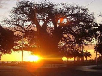 Bungalow Cemian Sambatra