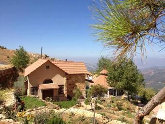 Hotel Soha Village Resort