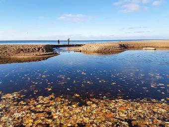 Saules Club Apart Hotel