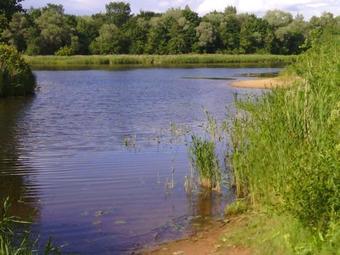 Apartamento Elitasbb