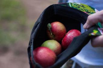 Hostal Viesu Nams Jaunzilak?i