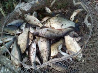 Agroturismo Farmer's Pond House