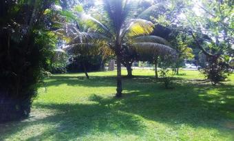 Hostal Cozy Coco Guest House