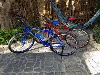 Blossom Bed And Breakfast