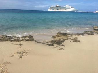 The Fred - Adults Only Hotel