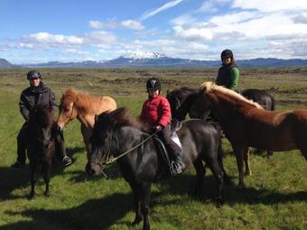 Lodge Klara's Farm Holidays