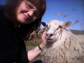 Agroturismo Guesthouse Steind�rsstadir