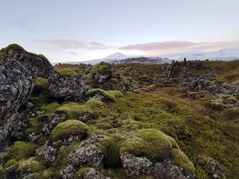 Apartamento Lava Water - Mi�hraun