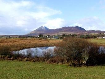 The Thatched Cottage