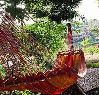 Hotel Palmlea Farms Lodge & Bures - Villas