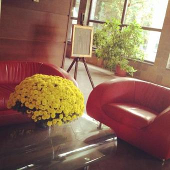 Park Hotel Green Europe