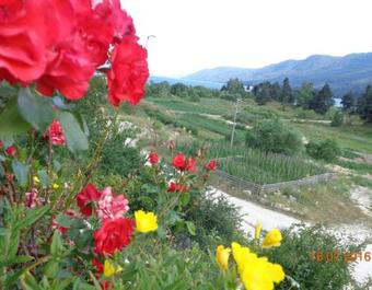 Family Hotel Panorama