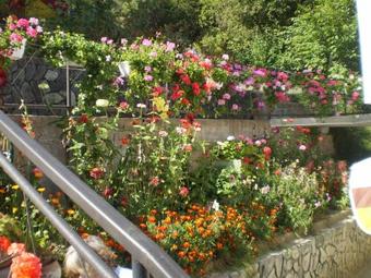 Belite Brezi Guest Apartment