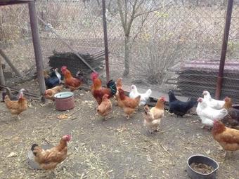 Bed & Breakfast Hotel Agasi