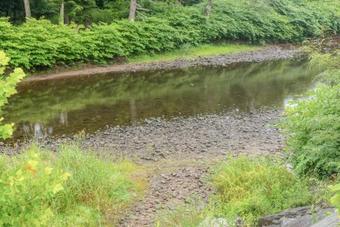 Tentrr - Fields Of Dreams At Callicoon