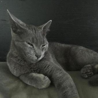 Bed & Breakfast Kona Bayview Inn