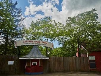 Tentrr - Abandoned Zoo Wooded Site